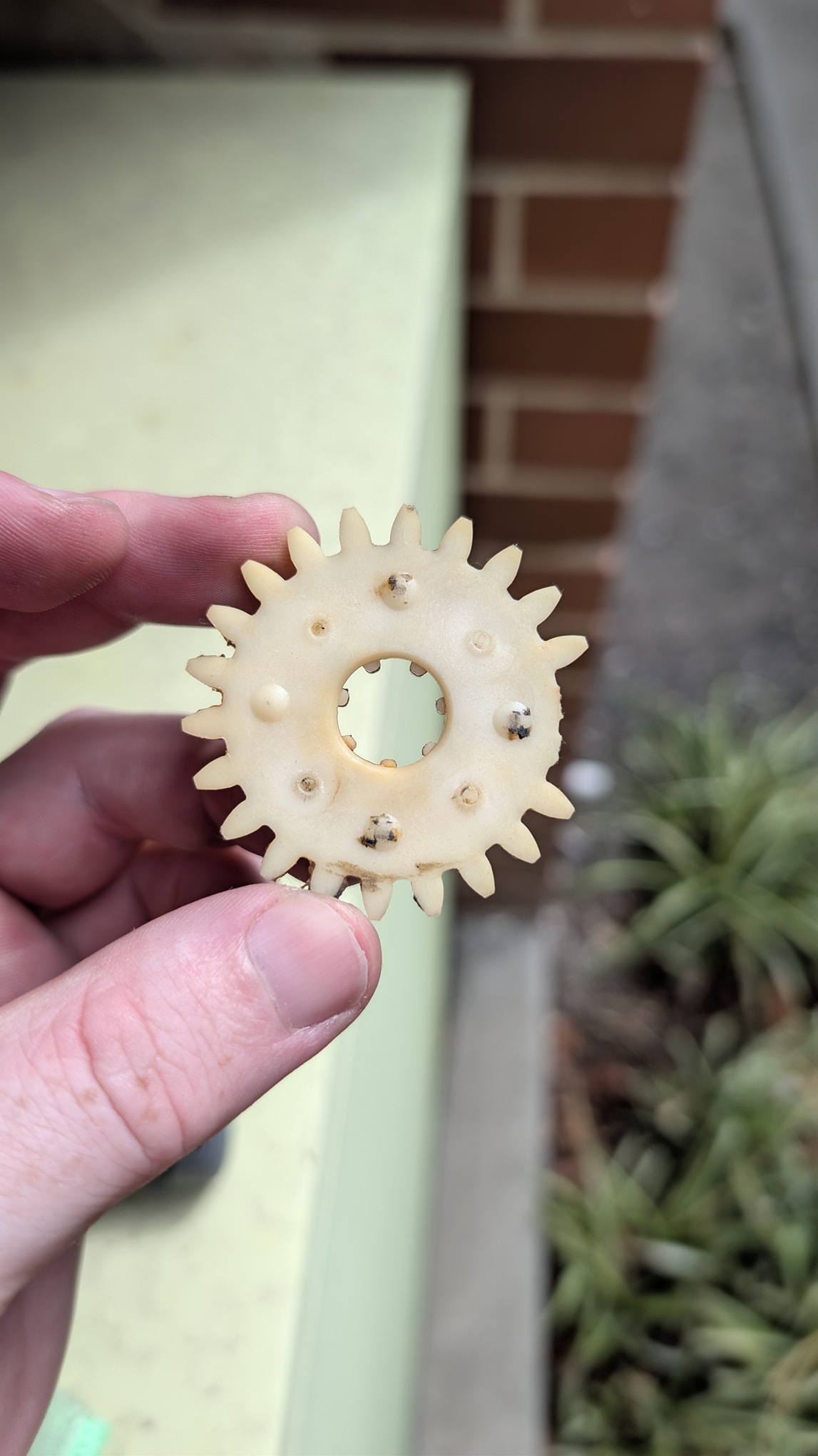 Old Gear with missing teeth